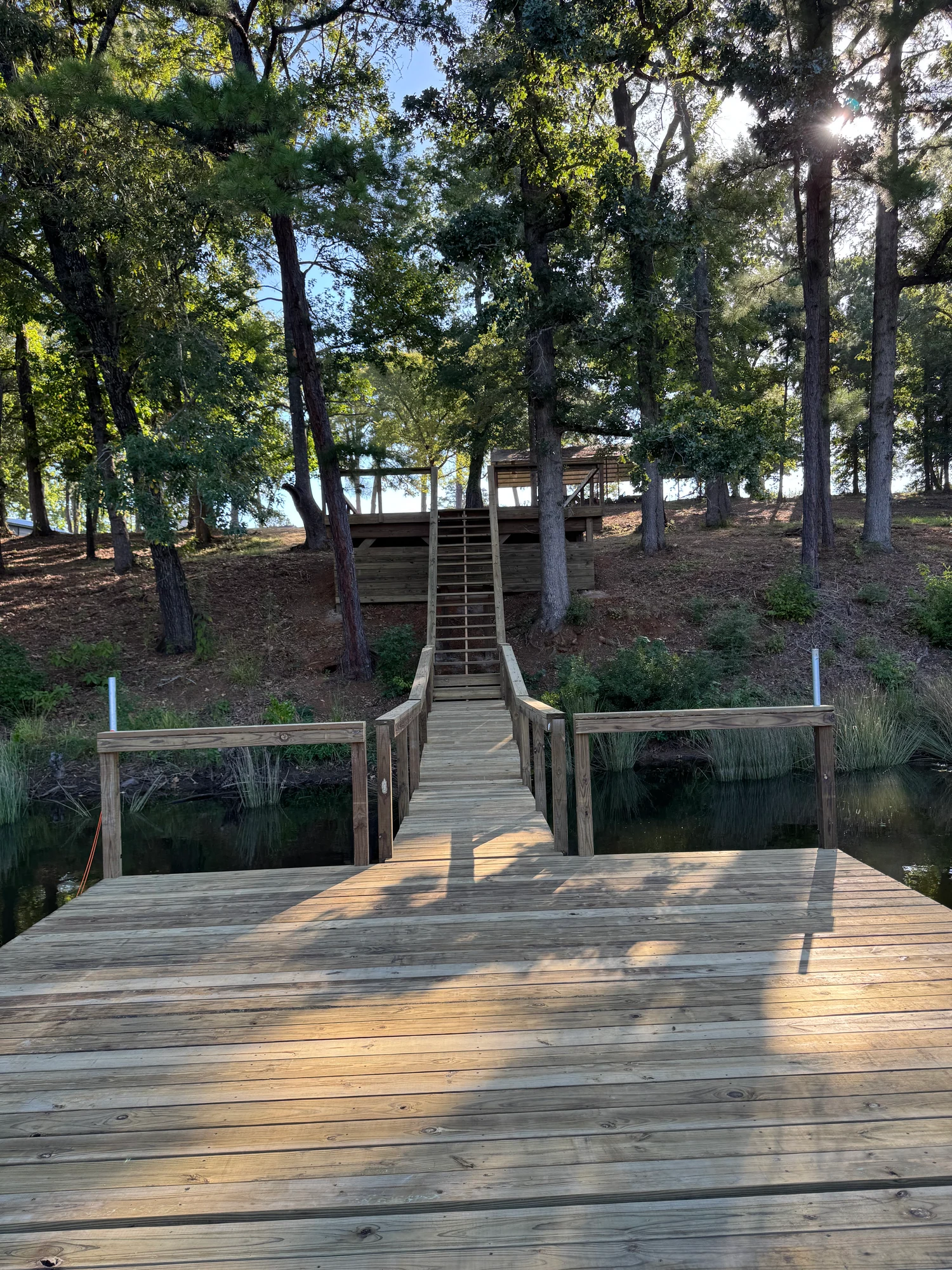 A wooden pier and walkway winding through trees